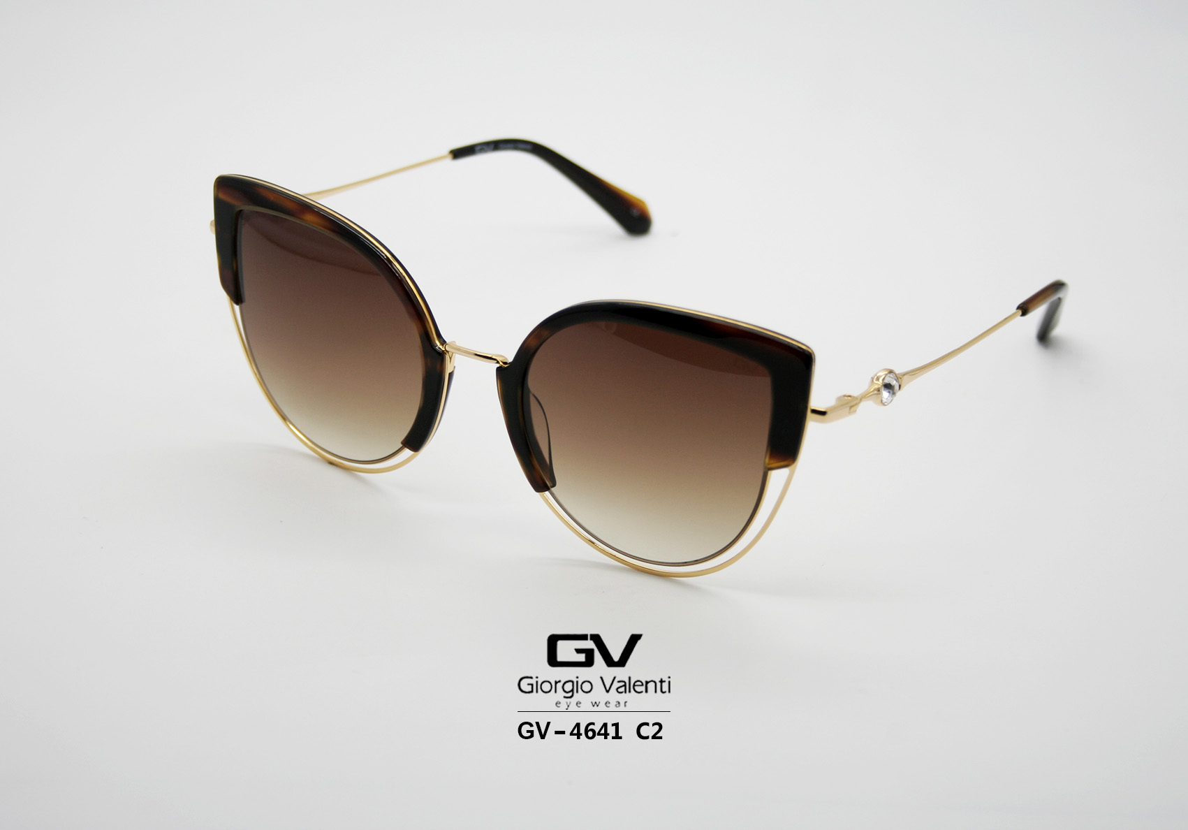 gv4641