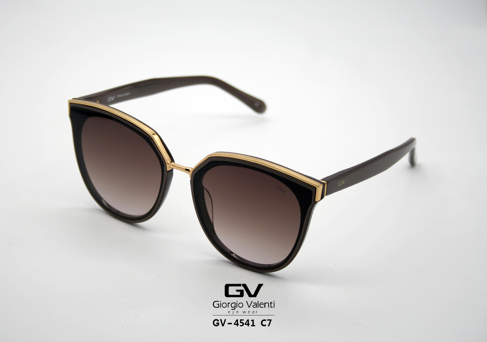 gv4541