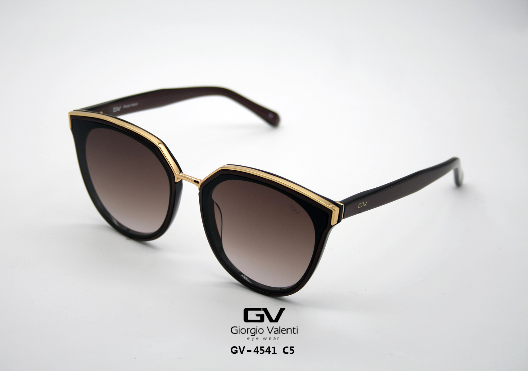 gv4541