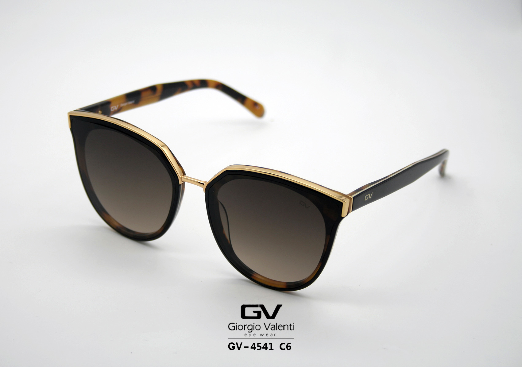 gv4541