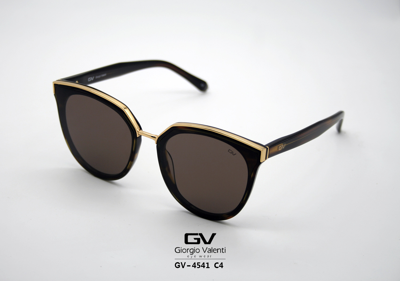 gv4541