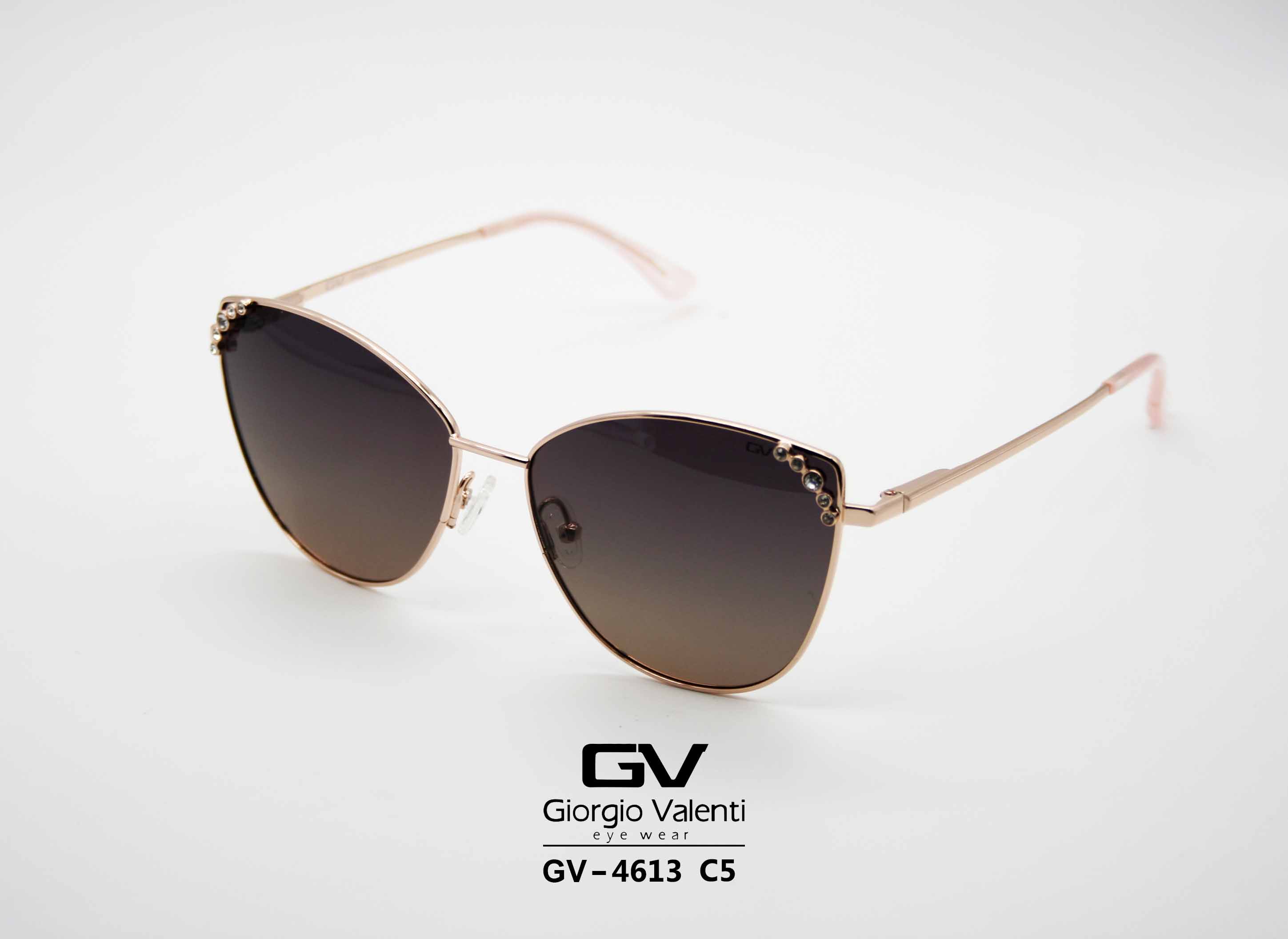 gv4613