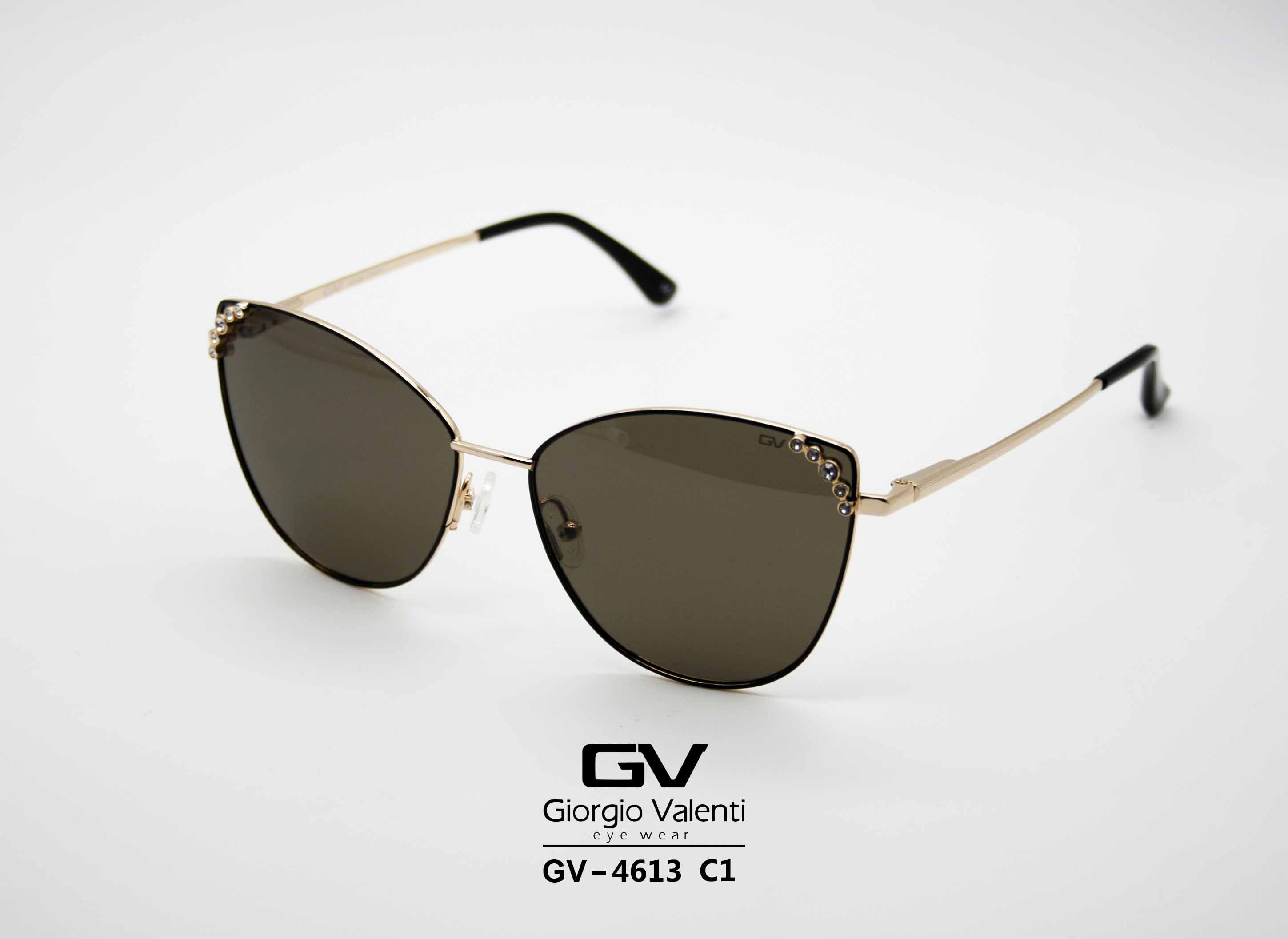 gv4613