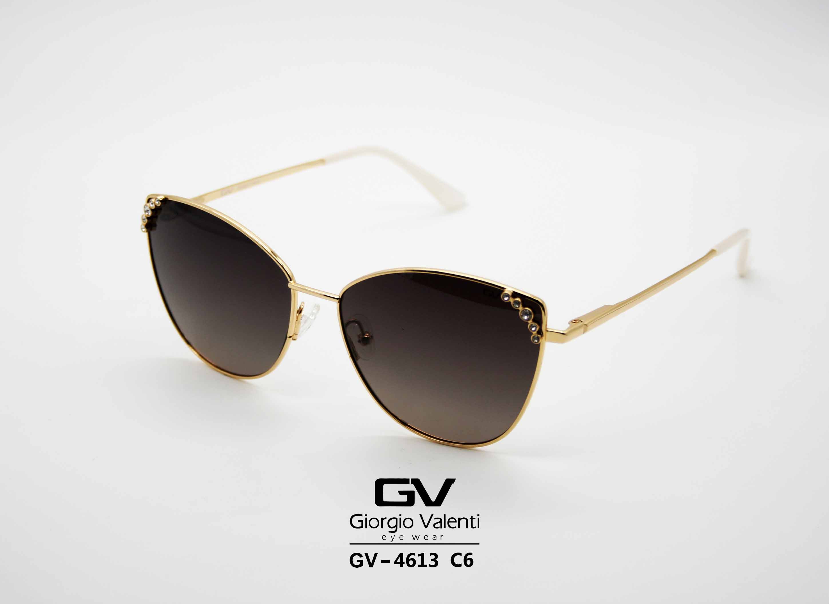 gv4613