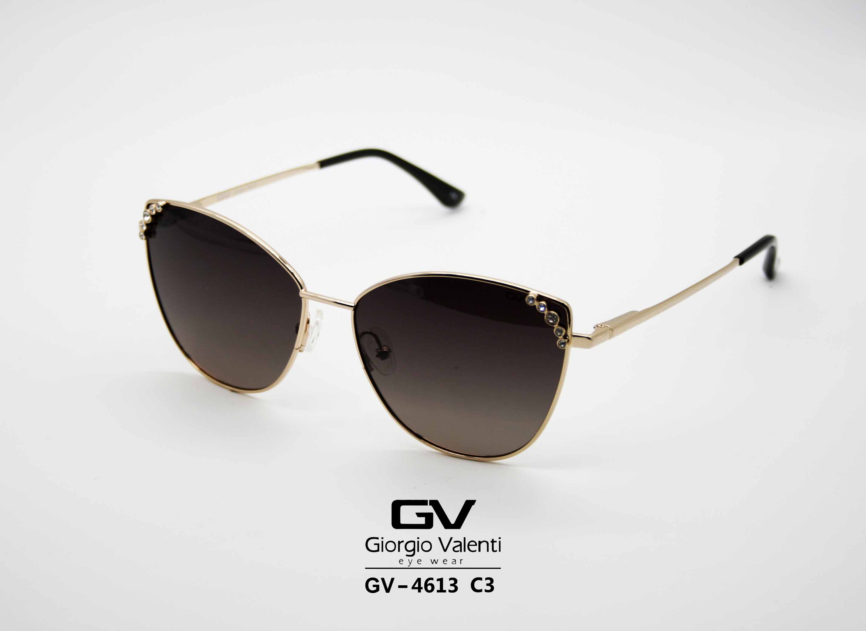gv4613