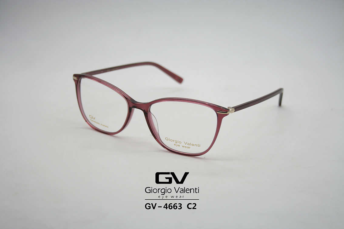 gv4663