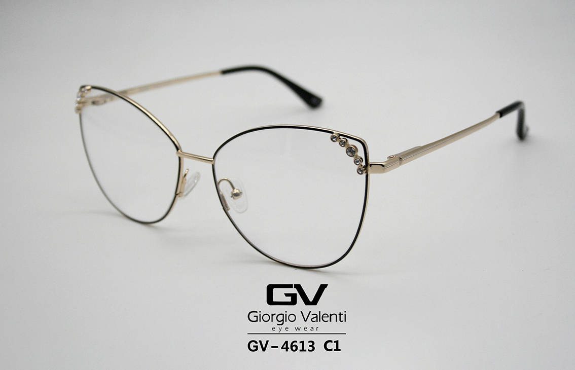 gv4613