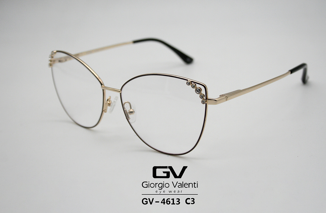 gv4613