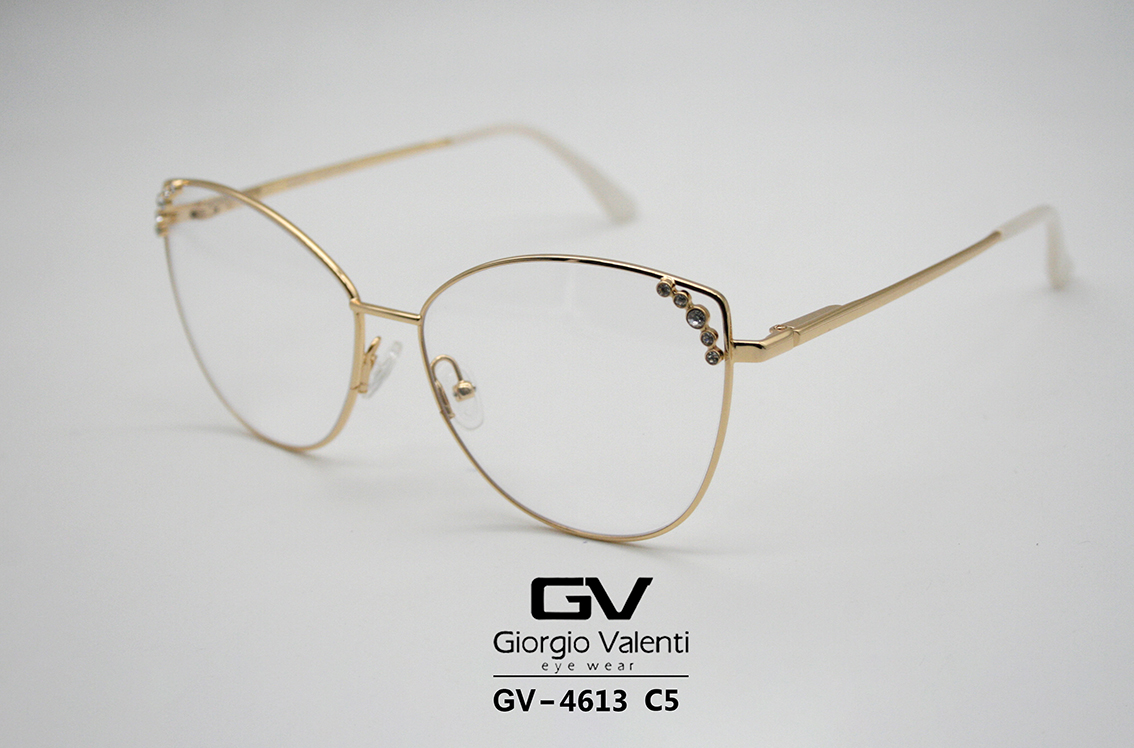gv4613