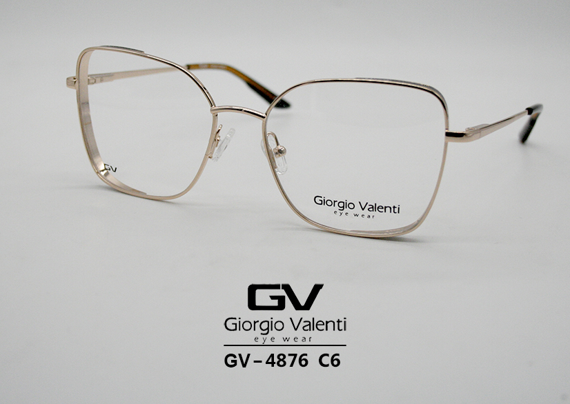 gv4876