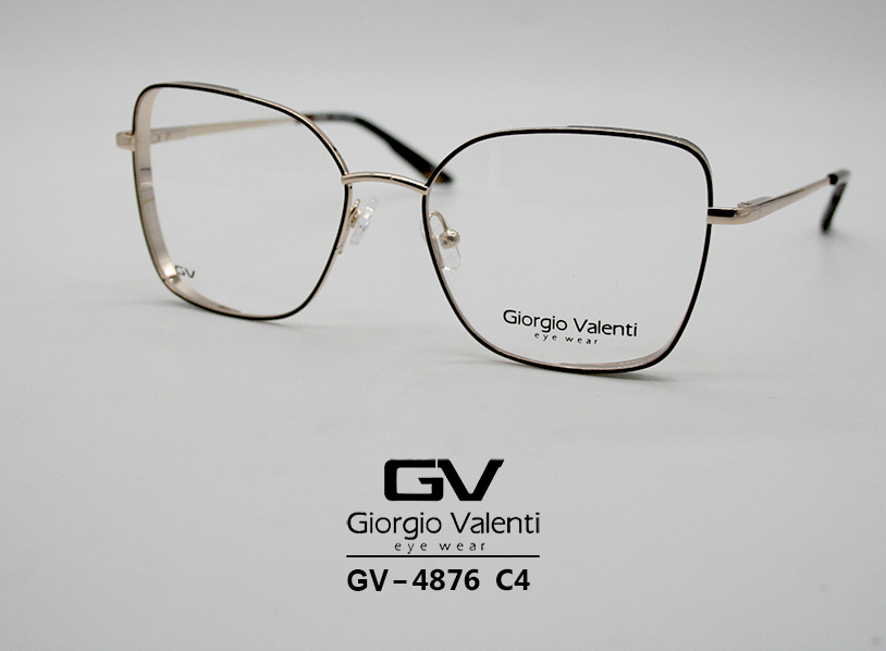 gv4876