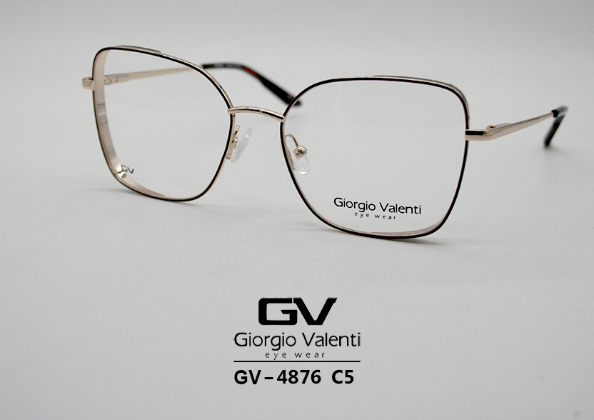 gv4876