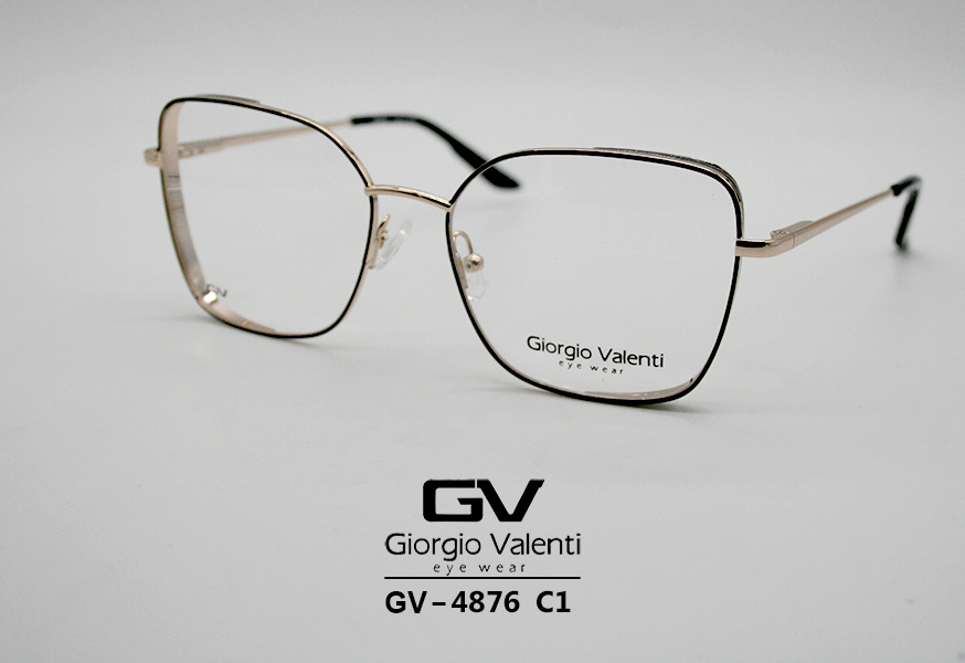 gv4876