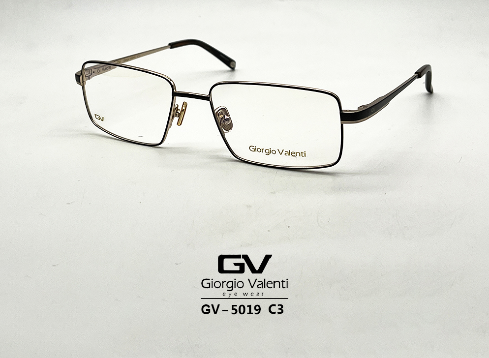 gv5019