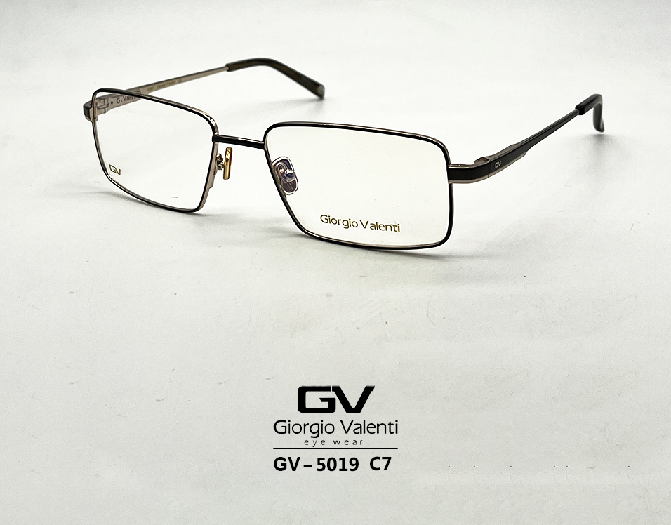 gv5019