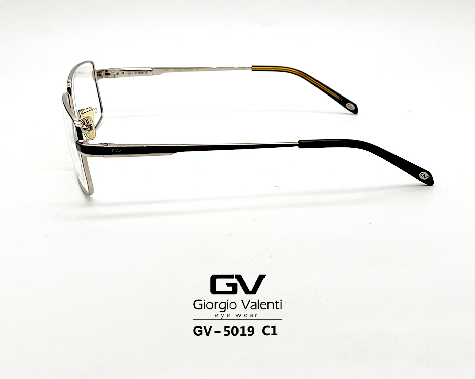 gv5019