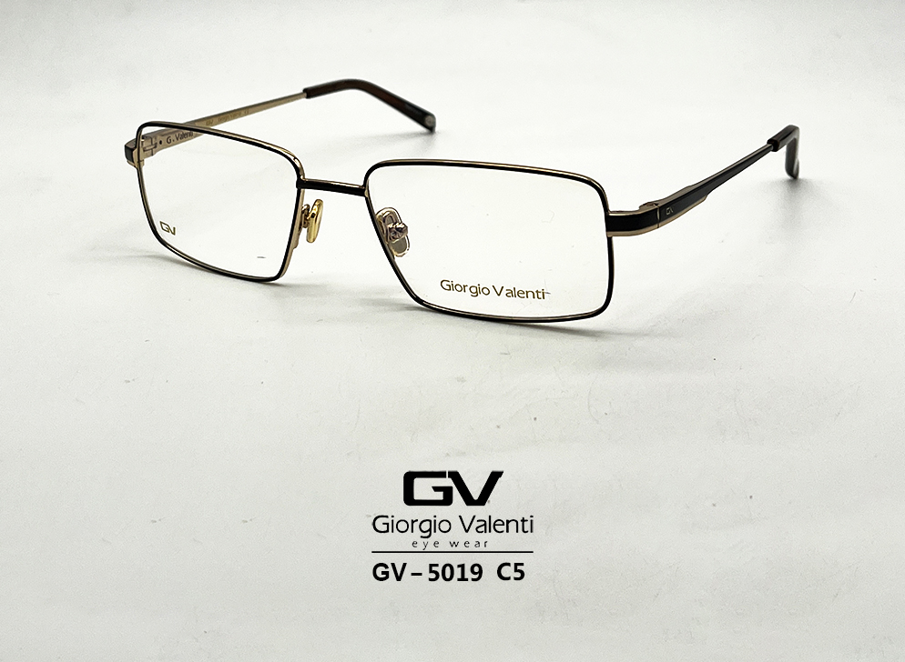 gv5019
